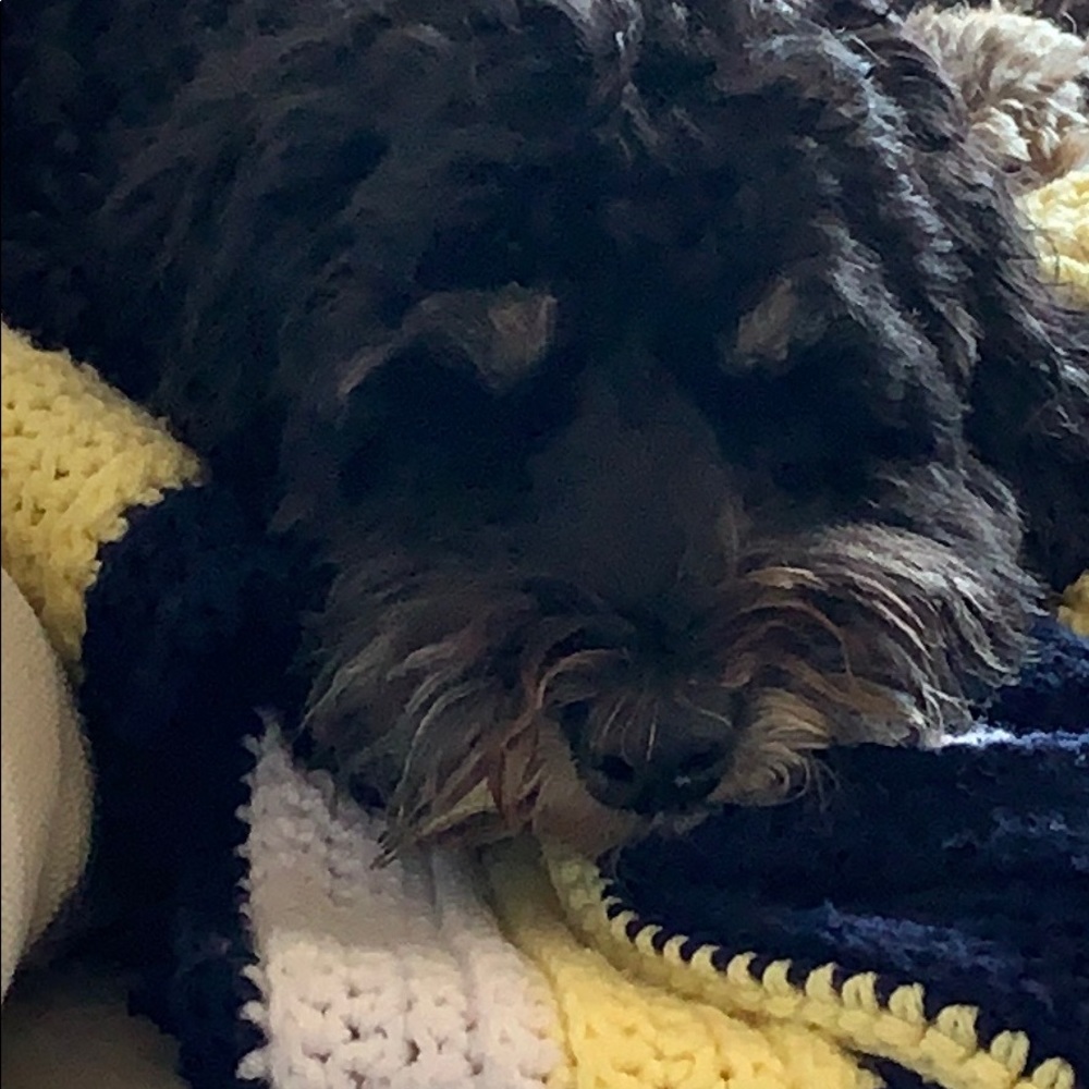 Meet your Posher, Sheyanne